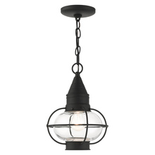  26910-04 - 1 Lt Black Outdoor Pendant Lantern