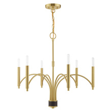  51336-12 - 6 Lt Satin Brass Chandelier