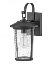  82020BK - Medium Wall Mount Lantern