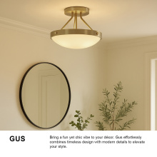 84363GO_Gus_extra1.jpg