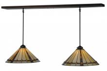  143349 - 48" Long Belvidere 2 Light Island Pendant