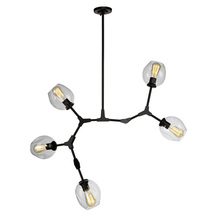  JA14025BK - Organic 5-Light Chandelier