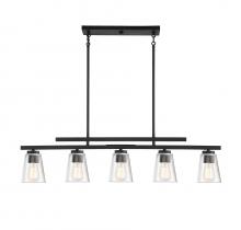  1-1023-5-89 - Calhoun 5-Light Linear Chandelier in Matte Black