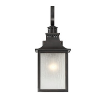  5-259-25 - Monte Grande 3-Light Outdoor Wall Lantern in Slate