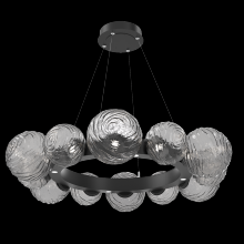  CHB0092-39-MB-S-CA1-L1 - Gaia Radial Ring Chandelier