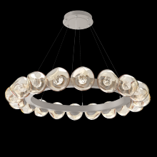  CHB0095-48-BS-FA-CA1-L1 - Luna Radial Ring Chandelier