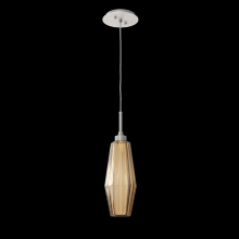  LAB0049-17-BS-RB-C01-L1 - Aalto Pendant-17