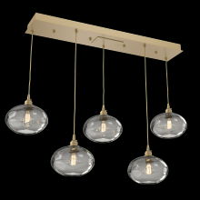  PLB0036-05-NB-OS-C01-E2 - Coppa Linear Multi-Pendant-05