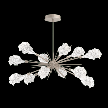  PLB0059-0A-BS-BC-001-L3 - Blossom Oval Starburst - 0A 30"