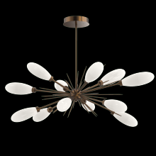  PLB0071-0A-FB-WL-001-L3 - Fiori Oval Starburst Chandelier 50"