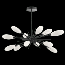  PLB0071-0A-MB-WL-001-L3 - Fiori Oval Starburst Chandelier 50"