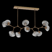  PLB0089-BC-NB-S-001-L1 - Mesa Modern Branch Chandelier