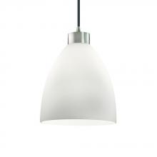  FSN-8814-18-OPAL-NCKL-BKCD - Large 1-Light Pendant