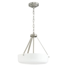 Progress P500507-009 - P500507-009 2-L PENDANT CONV.