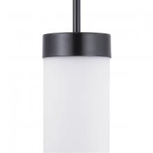  P500151-031 - Elevate Collection One-Light Mini-Pendant