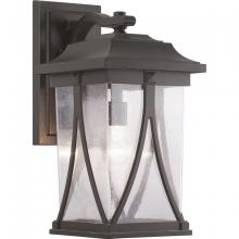  P560115-020 - Abbott Collection One-Light Large Wall Lantern