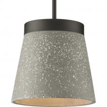  P500313-143 - Terrazzo Collection One-Light Graphite and Grey Terrazzo Hanging Pendant Light