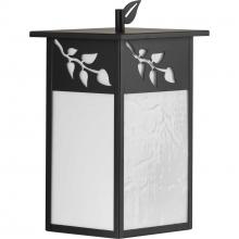  P560160-020 - P560160-020 1-100W MED WALL LANTERN