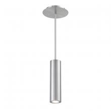  PD-W36610-AL - CALIBER Outdoor Pendant Light