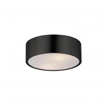  10494WTBK - Tommy-Flush Mount