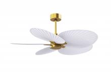  AKTP-BRBR-MWH - Alessandra Tropical 5-blade ceiling fan in Brushed Brass and Matte White blades.