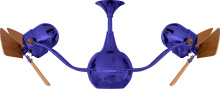 VB-BLUE-WD_2.jpg