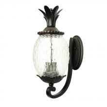  7501BC - Lanai Collection Wall-Mount 2-Light Outdoor Black Coral Light Fixture