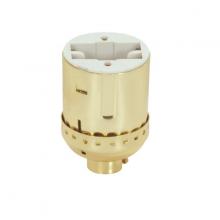  80/1227 - Lampholder Fluorescent 2-Pin Lampholder; 13W Brite Gilt Socket With Fluorescent GX23 And GX23-2;