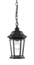  540CHM-BK - 1 Light Outdoor Chain Mount Ceiling Fixture