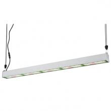  6366000 - 250W Broad Spectrum LED Horticultural Fixture Steel Finish