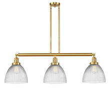  213-SG-G222 - Seneca Falls - 3 Light - 39 inch - Satin Gold - Stem Hung - Island Light