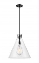  410-1PL-BK-G411-18CL - Newton Cone - 1 Light - 18 inch - Matte Black - Cord hung - Pendant