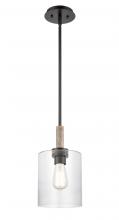 Innovations Lighting 442-1S-BK-G4422-7 - Paladin - 1 Light - 7 inch - Matte Black - stem hung - Mini Pendant