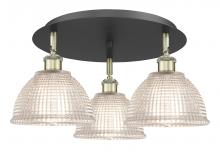  516-3C-BAB-G422 - Arietta - 3 Light - 20 inch - Black Antique Brass - Flush Mount