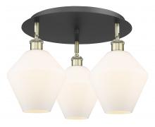  516-3C-BAB-G651-8 - Cindyrella - 3 Light - 20 inch - Black Antique Brass - Flush Mount