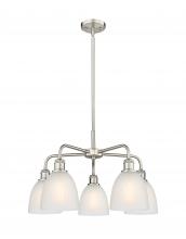  516-5CR-SN-G381 - Castile - 5 Light - 24 inch - Satin Nickel - Chandelier