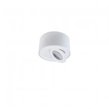  FM-W44205-30-WT - I Spy Outdoor Flush Mount Light