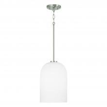  348811BN - 1-Light Pendant