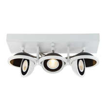  29488-018 - Vision, Surface, LED, 3LT , Wht/blk