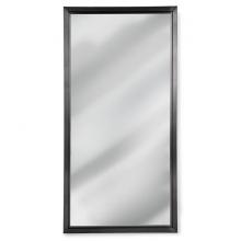  21-1047STL - Regina Andrew Rectangle Mirror (Steel)