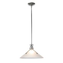  134553-SKT-MULT-85-FD0686 - Henry Medium Glass Shade Pendant