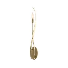  209120-SKT-86 - Willow Sconce