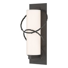  302403-SKT-20-GG0037 - Olympus Large Outdoor Sconce