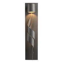  303090-SKT-20 - Flux Dark Sky Friendly Outdoor Sconce