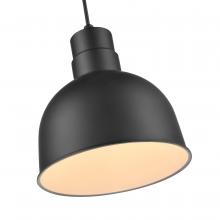  LEDRDBC10-SB - R Series 1-Light Cord Hung LED Deep Bowl Satin Black