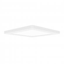  20840LEDD-WH/ACR - Dual Voltage LED Flush Mount