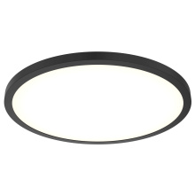 Dals CFLEDR24-CC-BK - 24'' ceiling flushmount