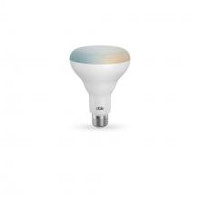  DCP-BLBBR30 - DCPro Smart BR30 LED Bulb