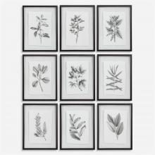  41617 - Farmhouse Florals Framed Prints, S/9