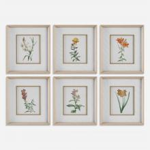  32284 - Classic Botanicals Framed Prints Set/6